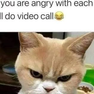 Checkmate_eng's tweet card. Checkmate English ⚜️ (@checkmate_en) • Instagram photo