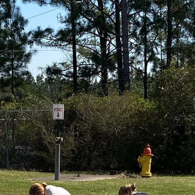 MidlandsMidCol's tweet card. Midlands Middle College (@midlandsmiddlecollege) • Instagram photos and videos