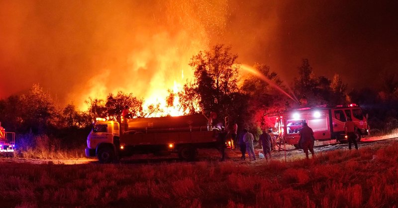 Tweet card summary image