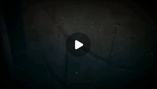 rekka_kujo's tweet card. Minami Vanrouge (@vanrouge._.minami) • Instagram photos and videos