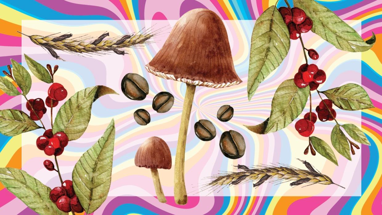 kate_g_evans's tweet card. Michael Pollan’s “Eat food, not too much, mostly plants” became a catch cry for healthy eating. Now the author is looking at how changing attitudes to psychoactive plants have shaped history.