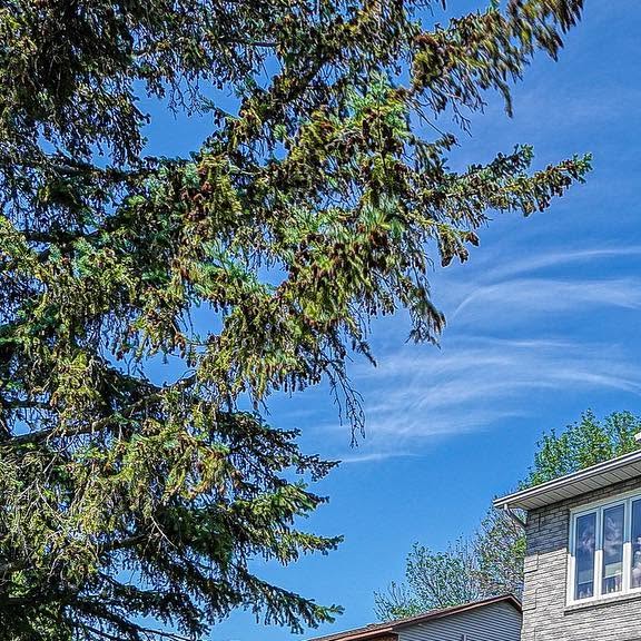 GroupeMitchell's tweet card. Andrew Mitchell (@andrewmitchell.ca) • Instagram photos and videos