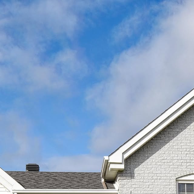 GroupeMitchell's tweet card. Andrew Mitchell (@andrewmitchell.ca) • Instagram photos and videos