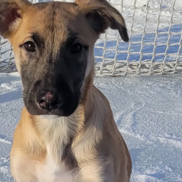 comp_thread's tweet card. Competitive Thread (@comp_thread) • Instagram photo