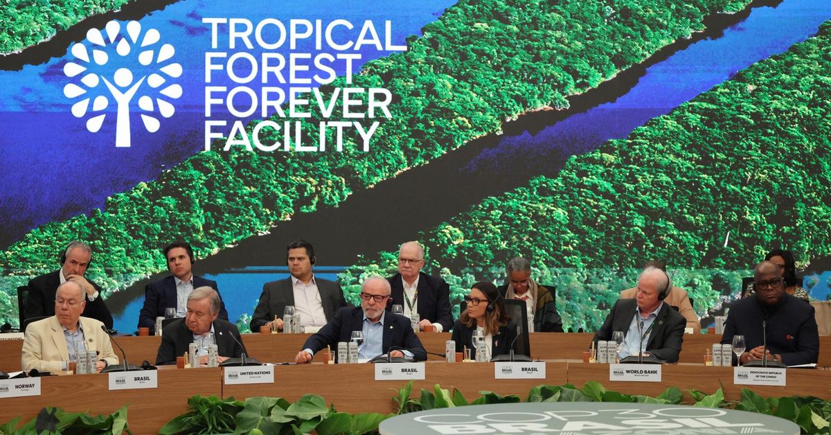 LePelerincom's tweet card. À l’issue de la COP30 au Brésil, les États ont validé la création du fonds Tropical Forest Forever Facility (TFFF), censé rémunérer les pays qui freinent la déforestation. Présenté comme une révolu...