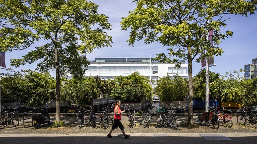 BoswachterRob's tweet card. Norminstituut Bomen heeft de Landelijke Bomennorm ontwikkeld. Deze norm maakt duidelijk hoeveel boomkroonvolume een buurt, wijk of stad nodig heeft. En wat voor financieel voordeel dat een gemeente...