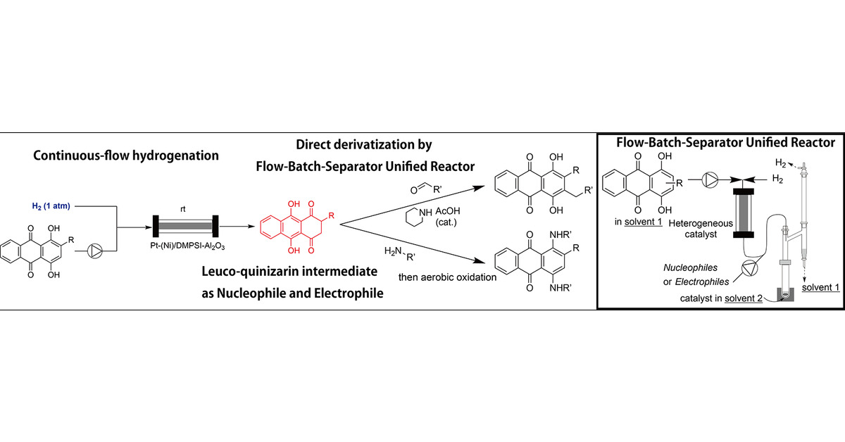 ShuKobayashiLab's tweet card. Anthraquinone derivatives are classes of compounds employed in the production of valuable materials. Leuco-quinizarin, the 2-electron-reduced form of quinizarin (1,4-dihydroxy-anthraquinone), is a...