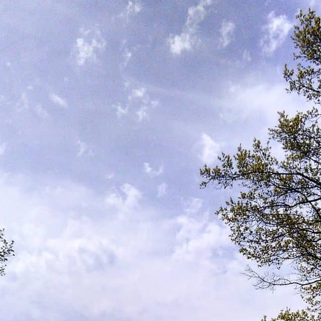 Tespis's tweet card. Alex Guerrero / Tespis (@tespis) • Instagram photo