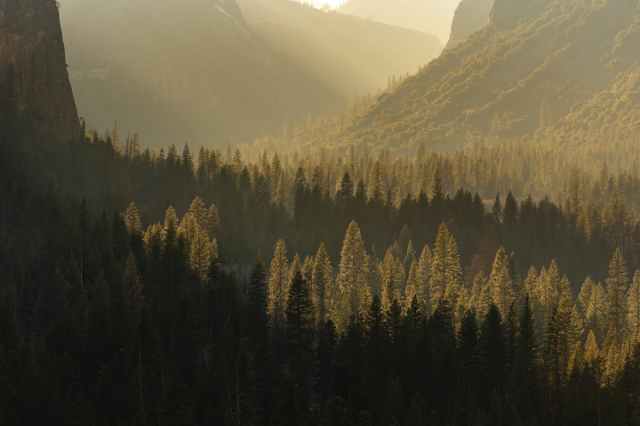 yourdatasmarter's tweet card. Manage Field Service Operations and Track Assets with a GeoBusiness Forest Management Solution.