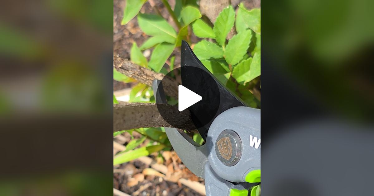 PureReviewsLLC's tweet card. Check out PureReviews’s video.