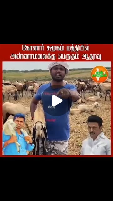 saravanashivan's tweet card. T Daisy (@daisy_thangaiyaa) • Instagram reel