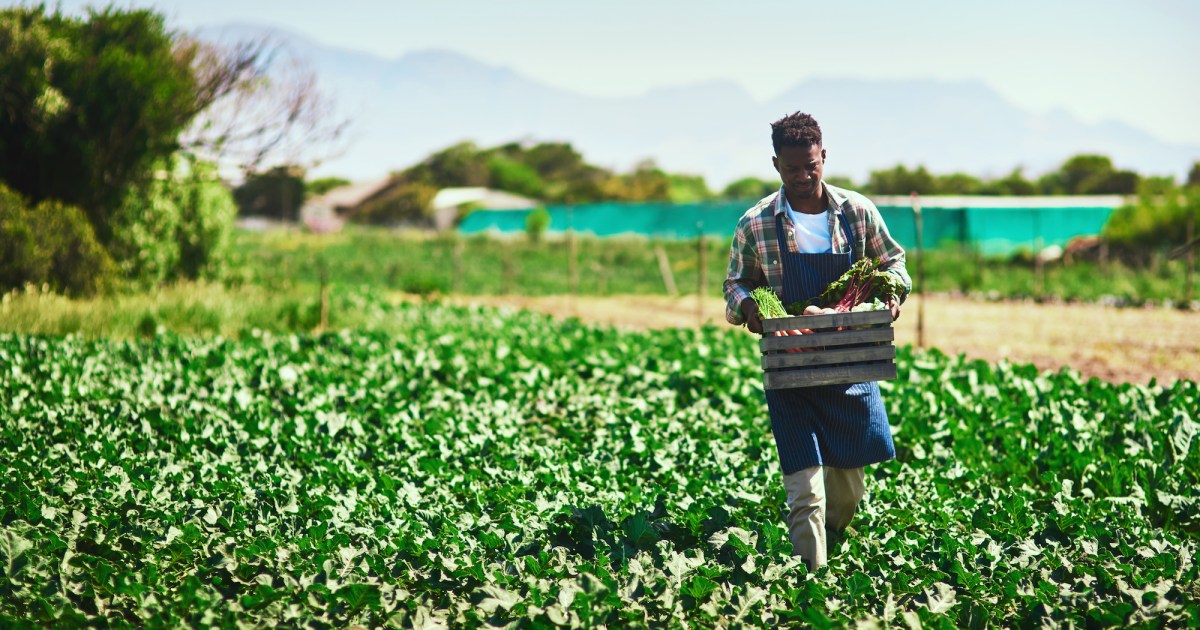 foe_us's tweet card. "This is the Black Farmers Civil Rights Act of 2020, and it's long overdue."