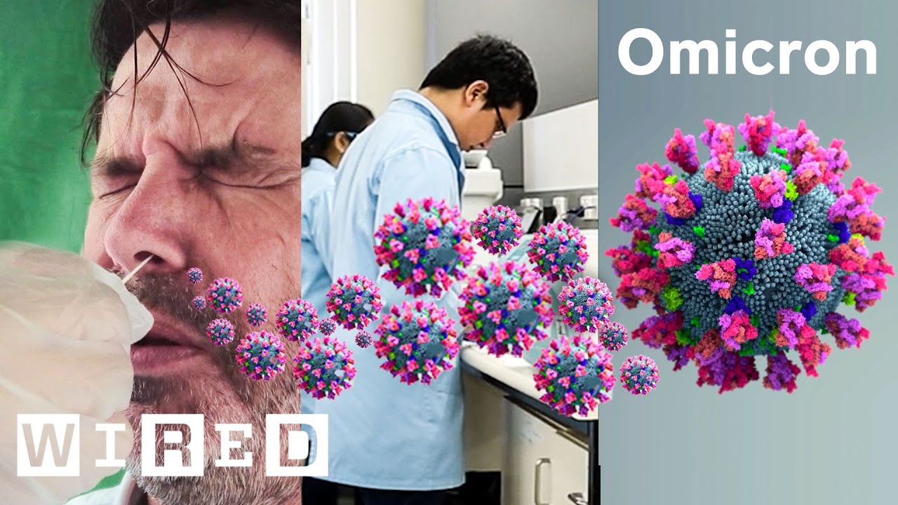 CDCgov's tweet card. How Nose Swabs Detect New Covid-19 Strains | WIRED