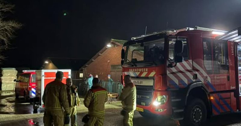Biggetjes vallen in gierput in Liessel, brandweer moet uitrukken