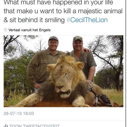 Tweet card summary image