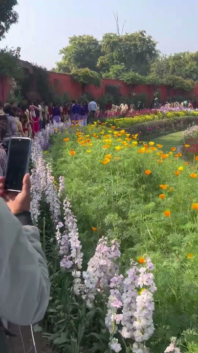 raju_dewarwad's tweet card. 19 November 2025