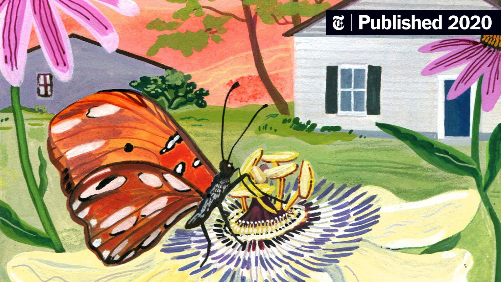 JAVSimson's tweet card. It’s hot, Donald Trump is still president, the pandemic is still raging, and did I mention that it’s hot?