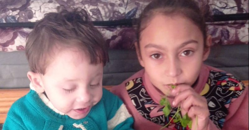 Tweet card summary image