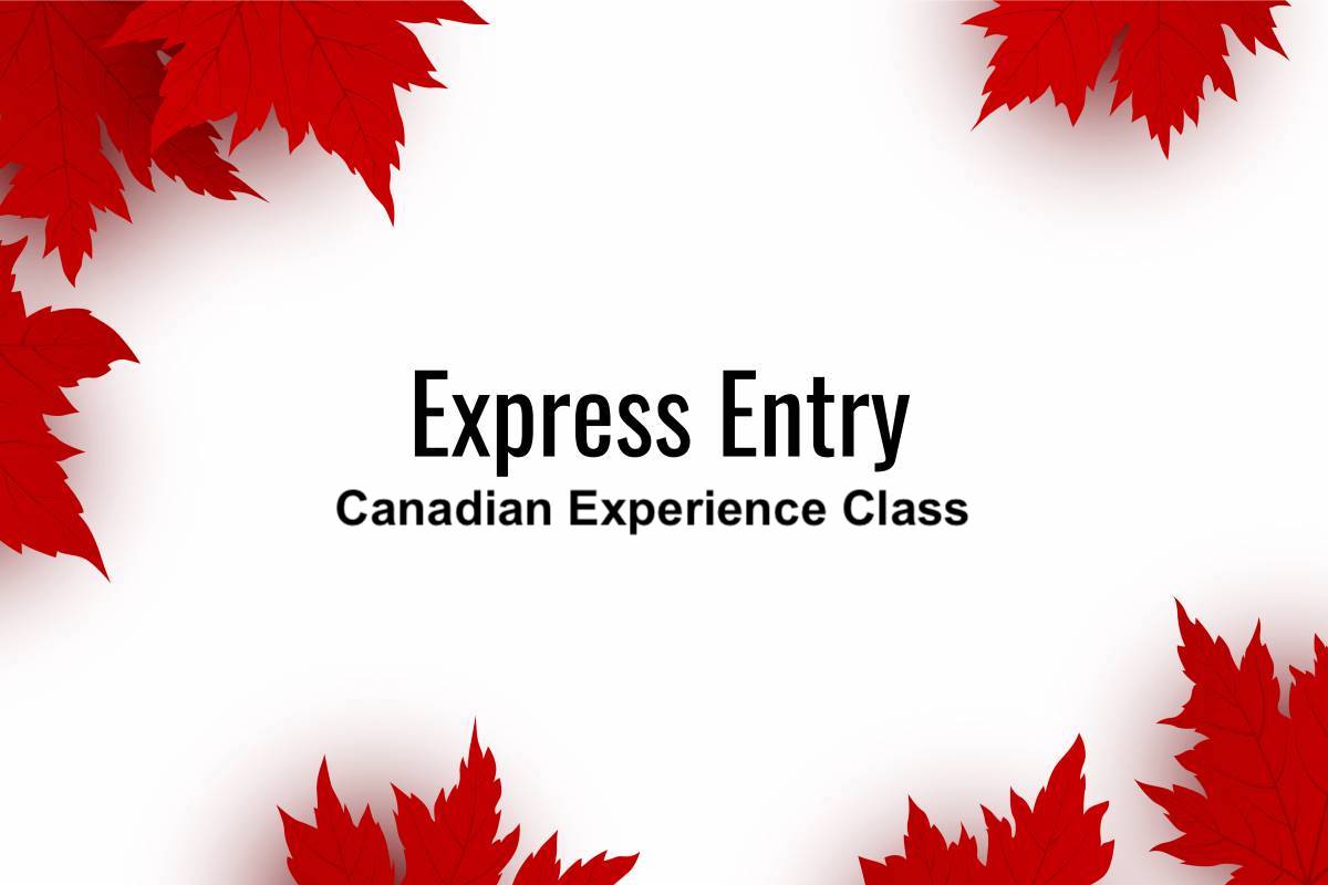 CanadaImmigra20's tweet card. IRCC has not conducted any Canadian Experience Class (CEC) specific Express Entry draw since September 14, 2021 and this has rightfully frustrated many