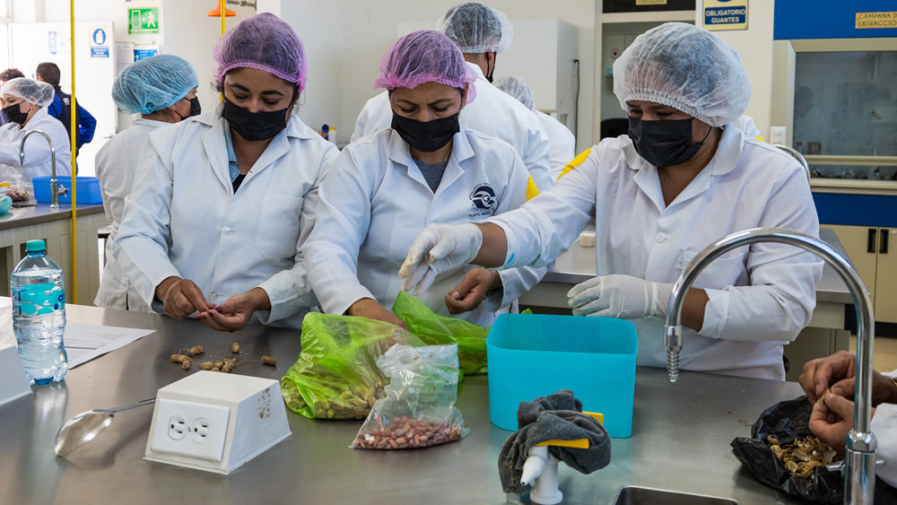 PeriodicoNotus's tweet card. Con el objetivo de acercar a las y los estudiantes al mundo de la ciencia aplicada, el CECyTE Plantel Abasolo celebró el Día de la Biotecnología, una jornada dedicada al conocimiento, la innovación y...