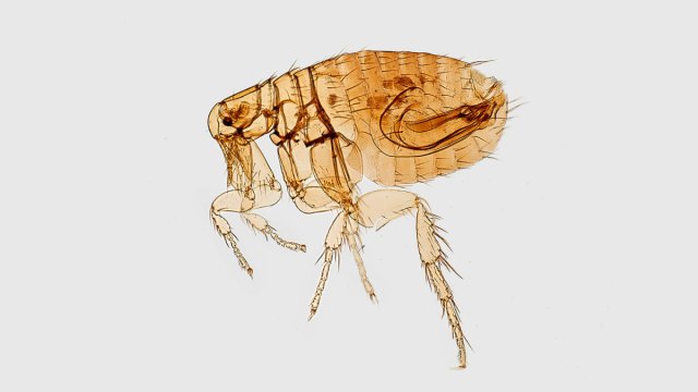 jimmymcloud's tweet card. What are you resentful of or trying to control that God wants you to surrender to Him? What are you convinced is a bad thing that God might be using for good? Sometimes it will take years for you t…