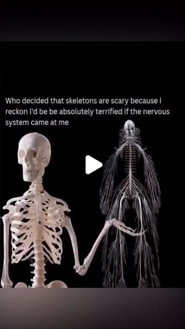 mthrnturr's tweet card. Kelsi Winter ✨ Spinal Flow Practitioner & Nervous System Coach (@kwinter.wellness) • Instagram reel