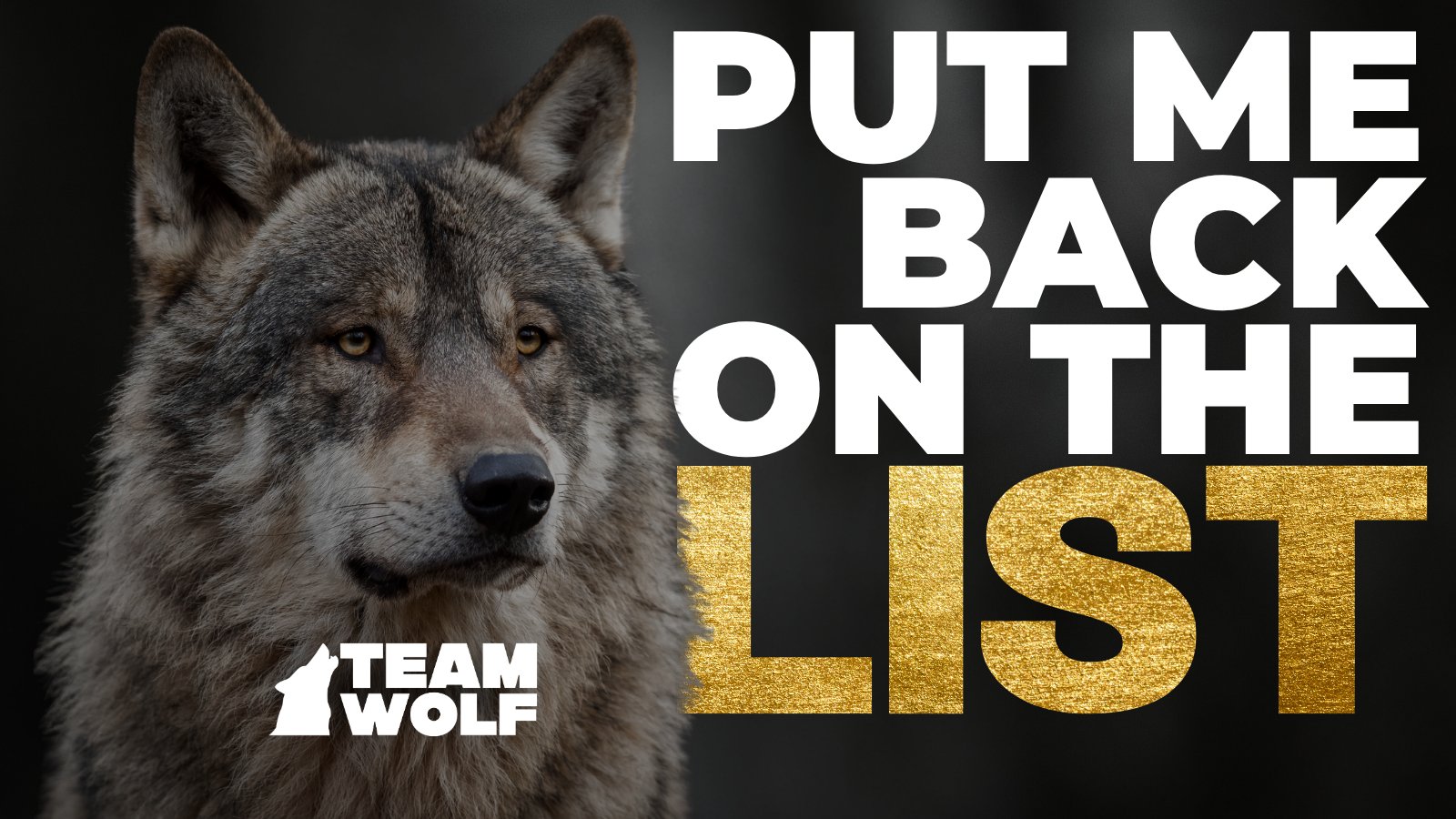 Suomigirl987's tweet card. Join #TeamWolf Today