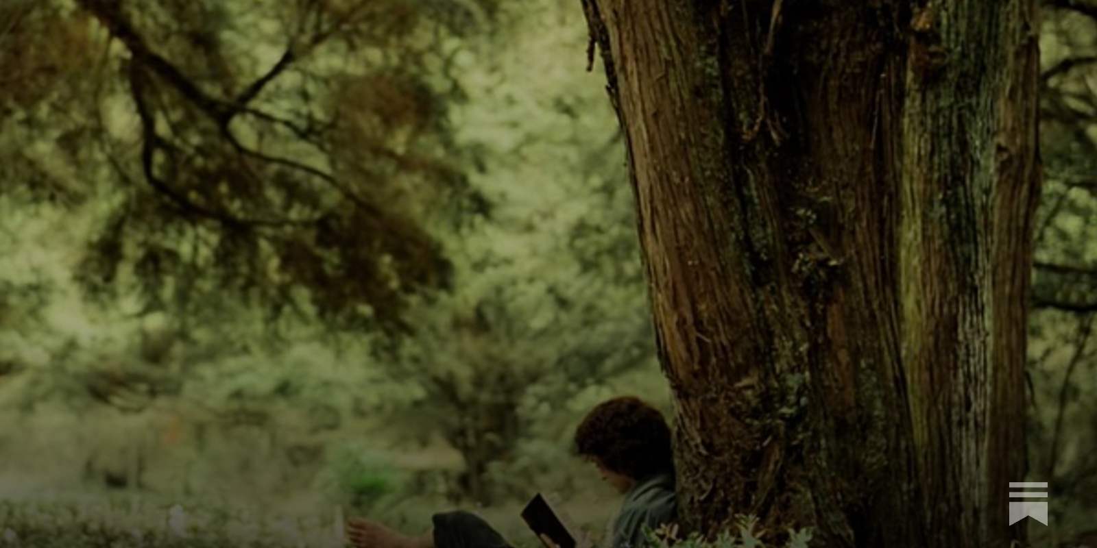 joshcarlosjosh's tweet card.