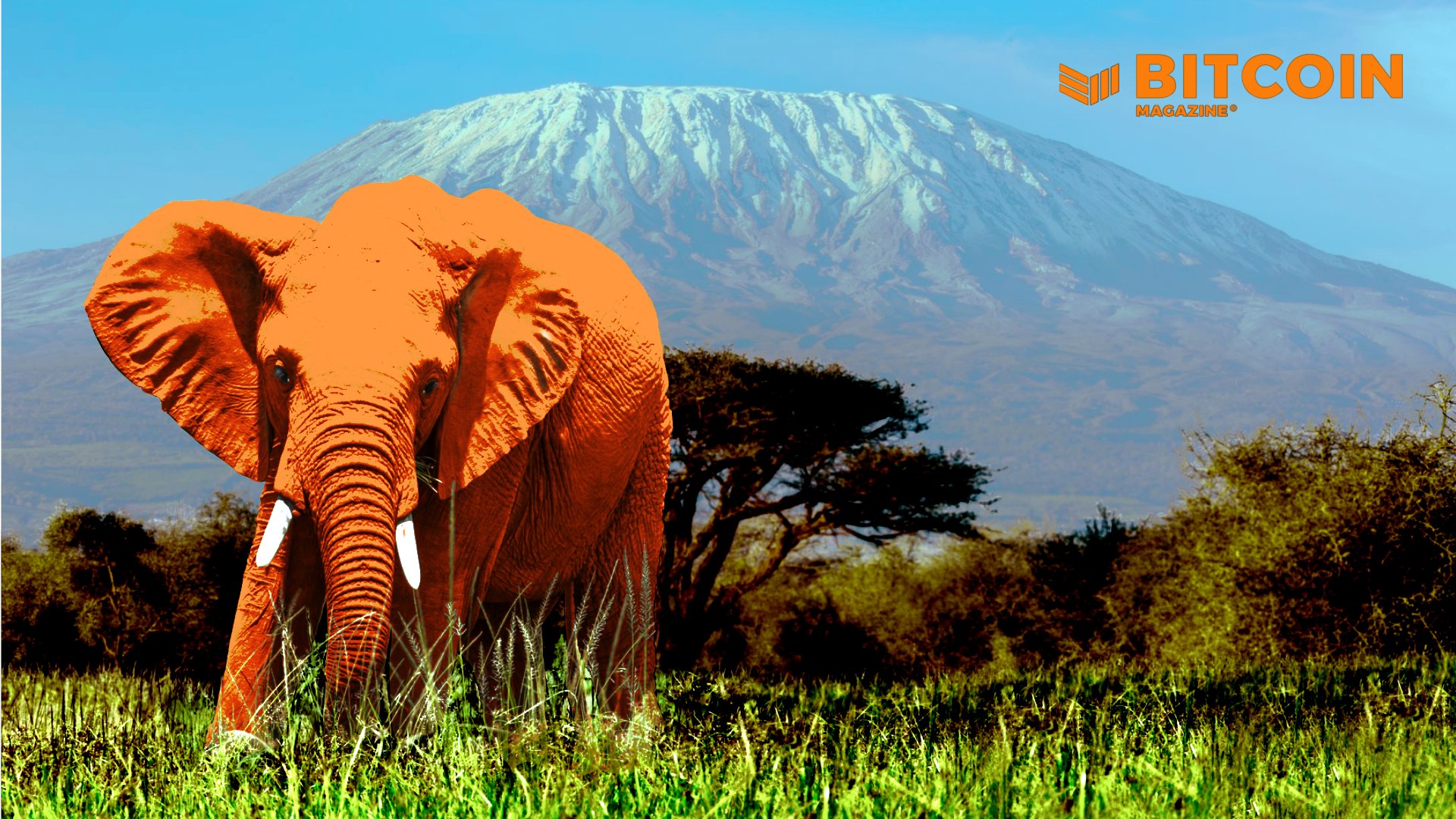 CriptoNew2's tweet card. The continent is fast becoming a hotspot for growing usage of bitcoin for transactions on a day-to-day basis.