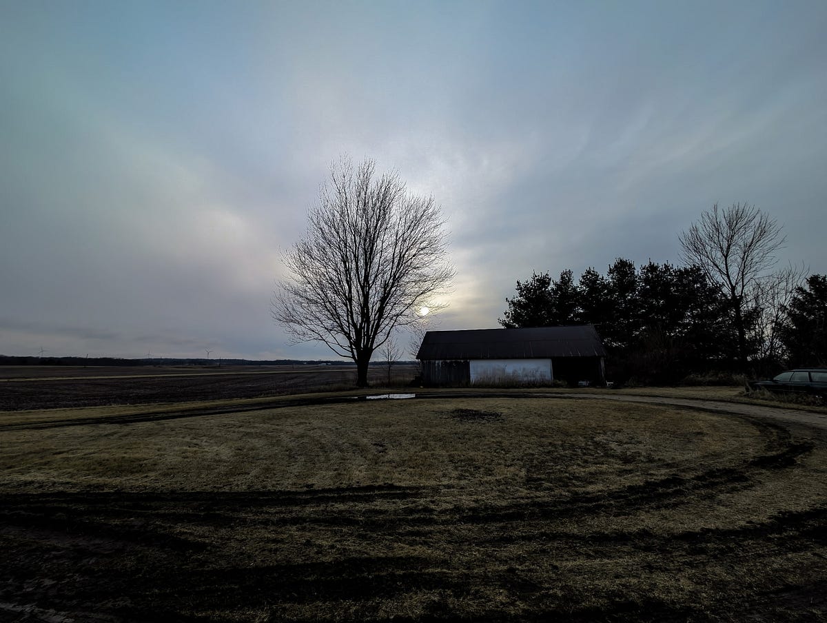 adavieauthor's tweet card. What do you feed to trees? Some nights, after going to the bars when I’d returned home from college, my friend and I would get Haribo gummy…