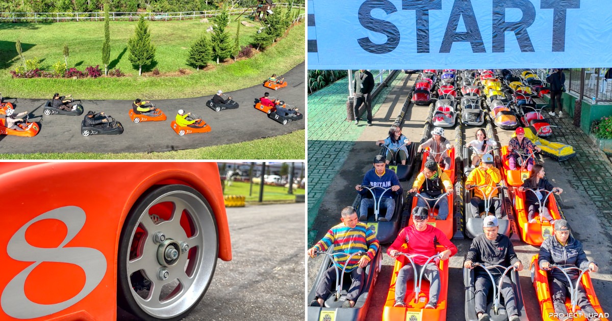 ProjectLUPAD's tweet card. Introducing the brand new XL8 Luge Carts of Dahilayan Forest Park Resort in Bukidnon. Experience the fun at Dahilayan. Features: 8-inch alloy wheels Dual disc brakes New design Powered by nature...