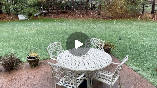 scalz's tweet card. Richard Scalzo Jr. (@thescalz) • Instagram video