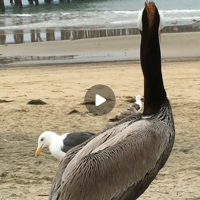 ProFormWindows's tweet card. Pro Form Window Cleaning (@pro_form_window_cleaning) • Instagram video