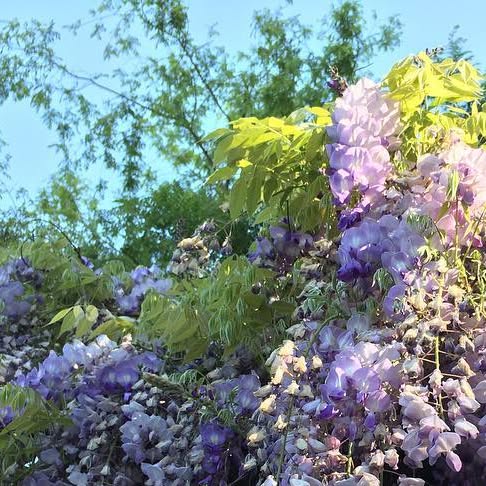 ProFormWindows's tweet card. Pro Form Window Cleaning (@pro_form_window_cleaning) • Instagram photo