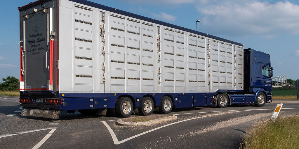 HerskinMette's tweet card. Dyrevelfærd og lange transporter – det er næppe simpelt