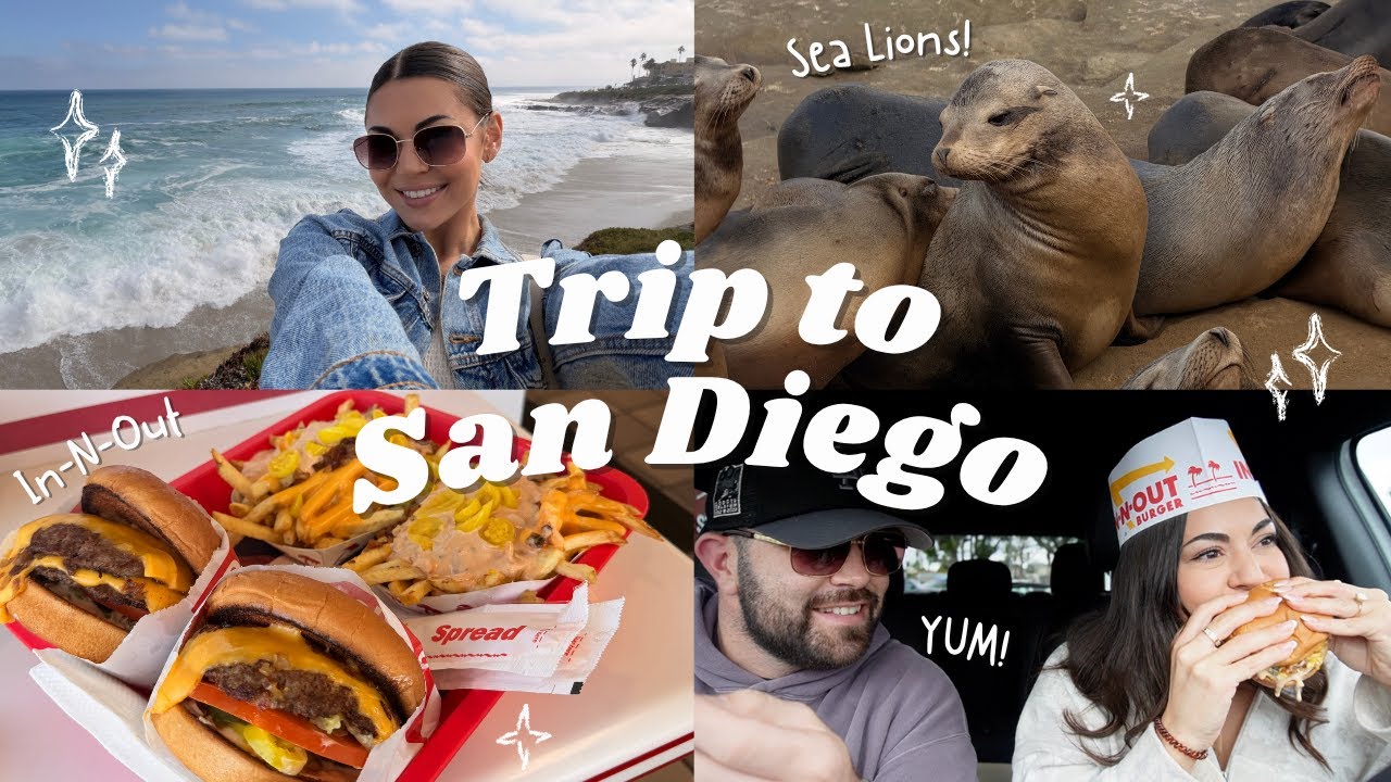 wdwdisneyland7's tweet card. SAN DIEGO TRAVEL VLOG 🌴 pack w/ me, in-n-out runs & the wine + food...