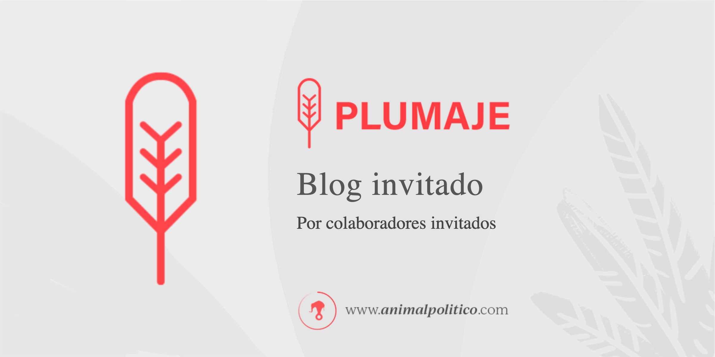 Pajaropolitico's tweet card. Artimañas en las campañas electorales judiciales