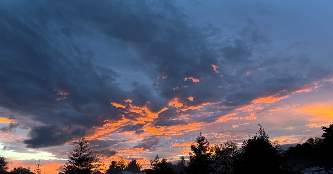 mit0k5's tweet card. はじめに みともりと申します。 元々は事業会社の情シスをやっていましたが、独立してからは事業会社の情シス部門をご支援するというお仕事をしています。 独立して現在3期目ですが、お客様から情シスでフリーランスをやっている人が珍しいと言われることもあり、こんな働き方もあるんだよと紹介させていただきたいと思います。 なぜ独立したか 飽きっぽい性質というのが一番大きいと思います。 事業会社の情シスとし...