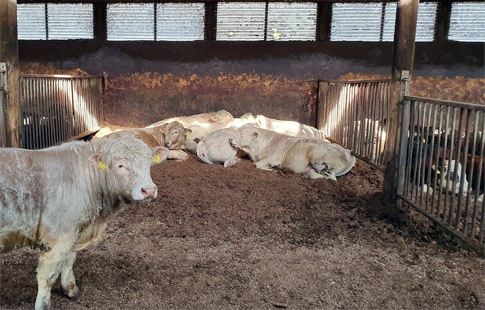 MTKry's tweet card. MTK, yhteistyössä kotieläinsektorin ja kuivikealan toimijoiden kanssa, luovutti 9.2. maa- ja metsätalousministeri Sari Essayahille kirjelmän, jossa korostetaan kuivikemateriaalien saatavuuden...