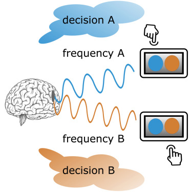 MillerLabMIT's tweet card. Natural sciences; Biological sciences; Neuroscience; Clinical neuroscience