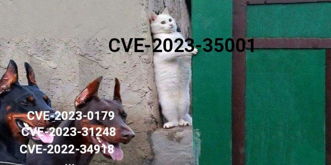 Synacktiv's tweet card. Old bug, shallow bug: Exploiting Ubuntu at Pwn2Own Vancouver 2023