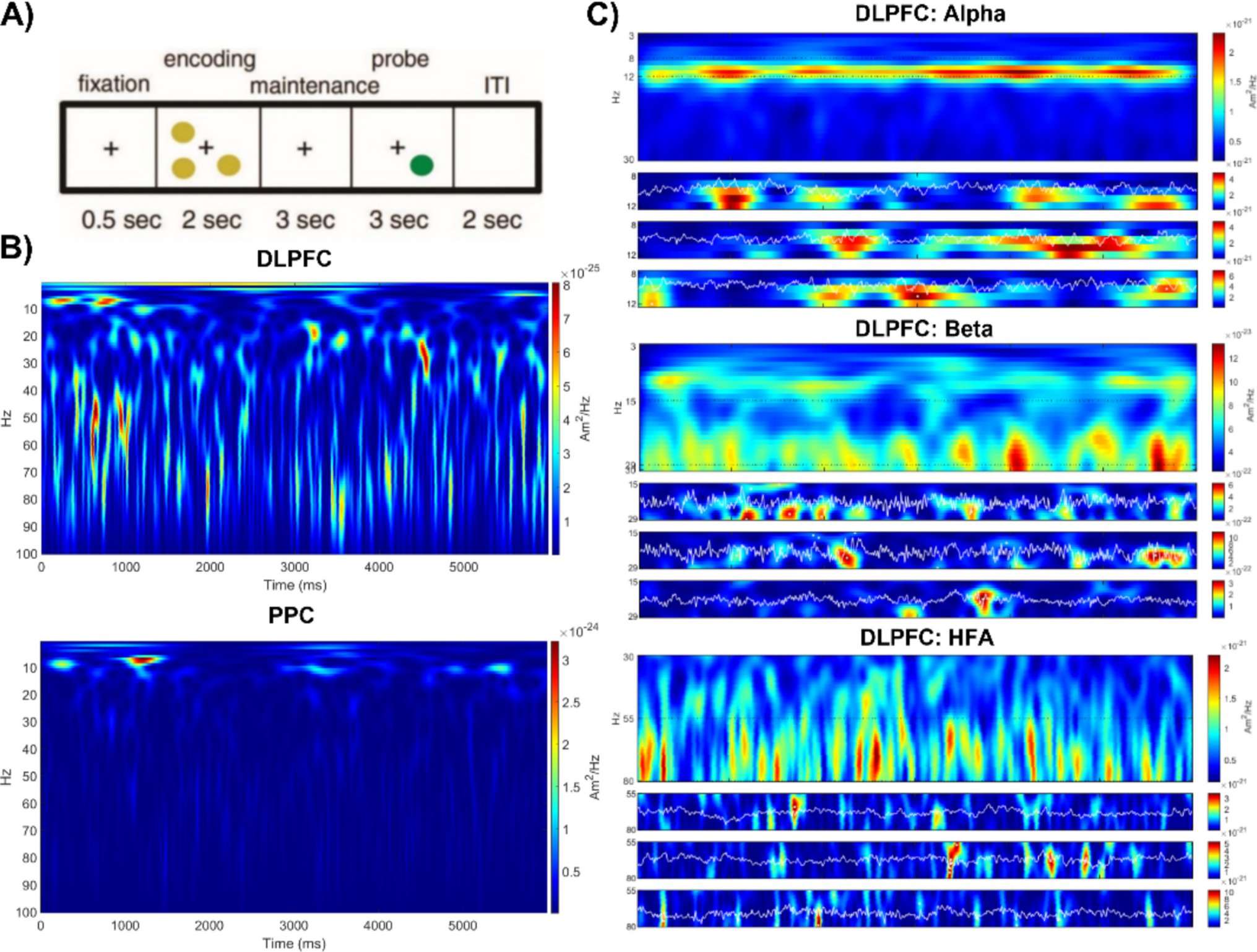 MillerLabMIT's tweet card. Cognitive, Affective, & Behavioral Neuroscience - Identifying neural markers of clinical symptom fluctuations is prerequisite to developing more precise brain-targeted treatments in psychiatry....
