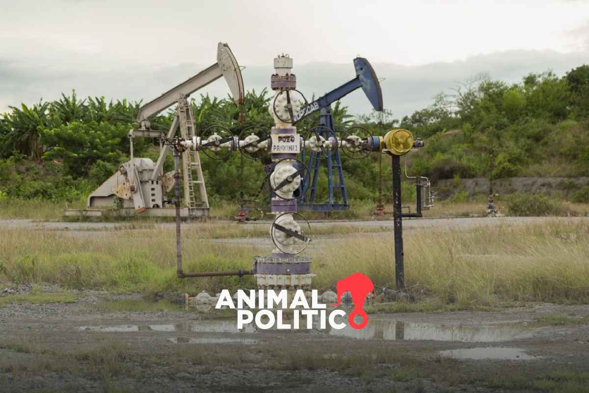 Pajaropolitico's tweet card. Coahuila abre la puerta al fracking; organizaciones alertan por impactos ambientales severos