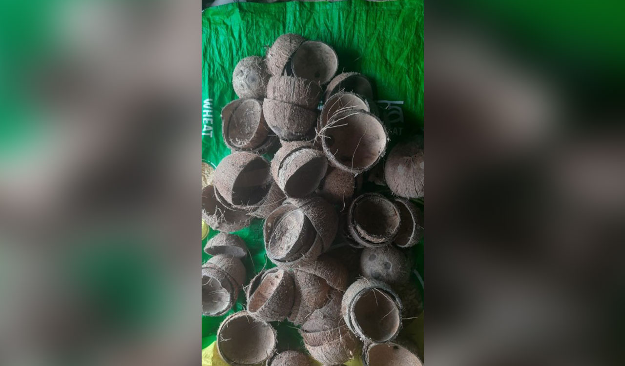 TelanganaToday's tweet card. Coconut shells, once thrown away as waste, are now selling at record prices in Kerala, touching Rs 35 per kg. Rising demand from industries and exports has created a lucrative market, even as high...