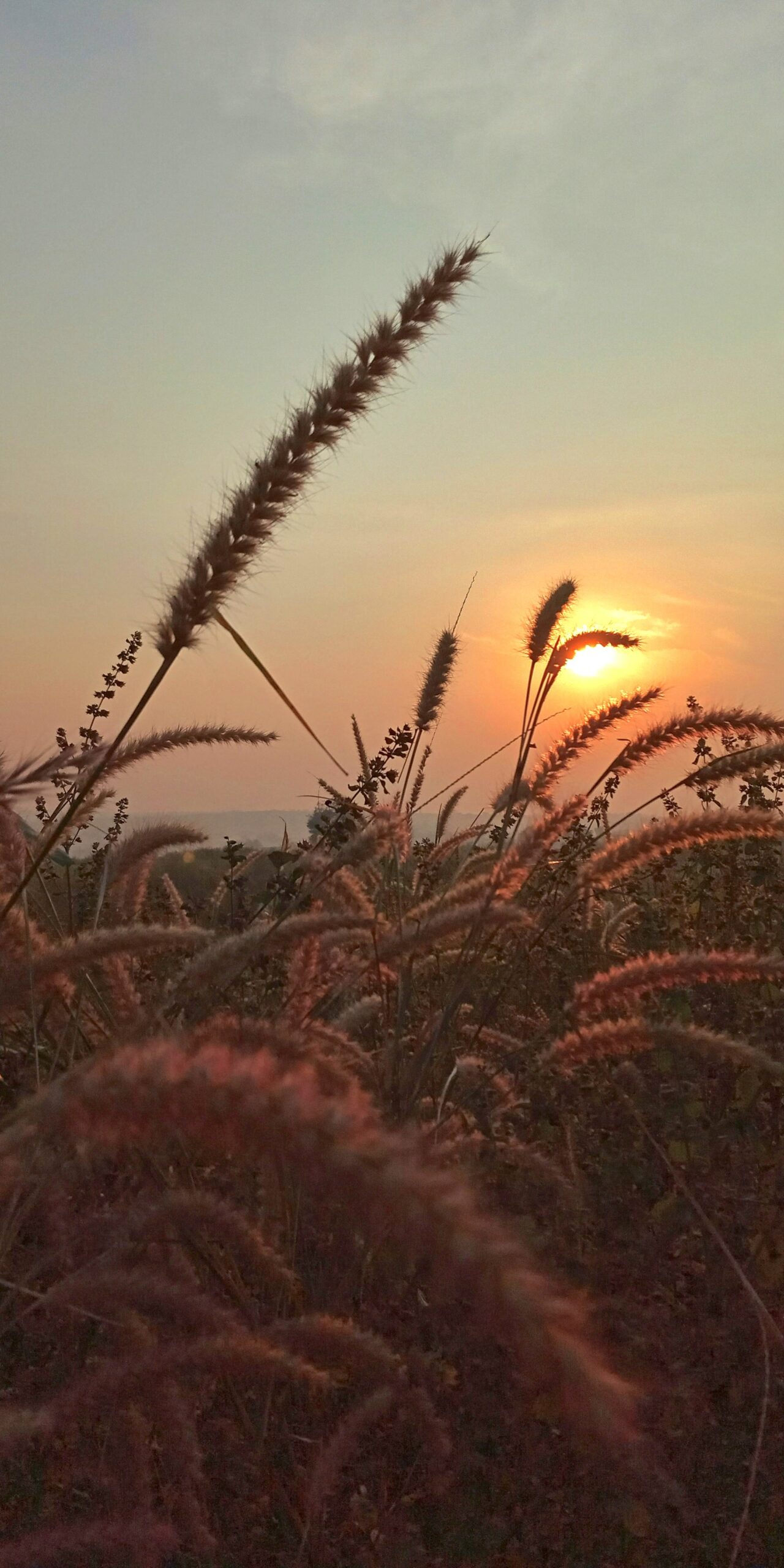 dsa_lsc's tweet card. We sent a reporter to Rojava. In this preface to a long series, he recounts his trip & his interview with the YPJ's top commander.