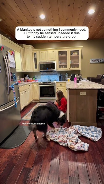 kstewskisAZ's tweet card. With him I feel safe, I have warning, I have response #disabilityaw...