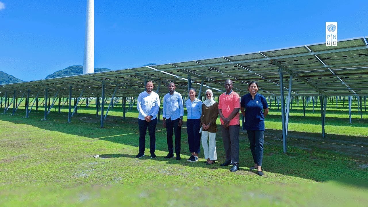 PNUDMALI's tweet card. Investir au Mali : À la découverte de la cartographie des investiss...