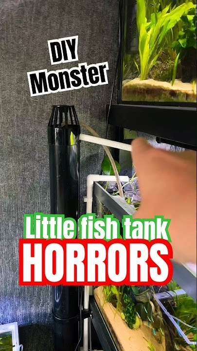 mallymal1972's tweet card. Filter alarm system #aquariumfun #fishtank #diyfilter #fishkeeping...