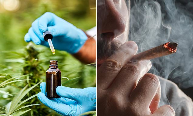 CeladonPlc's tweet card. Record numbers of Scots are paying for medical cannabis as NHS waiting lists leave them struggling to get conventional treatment.