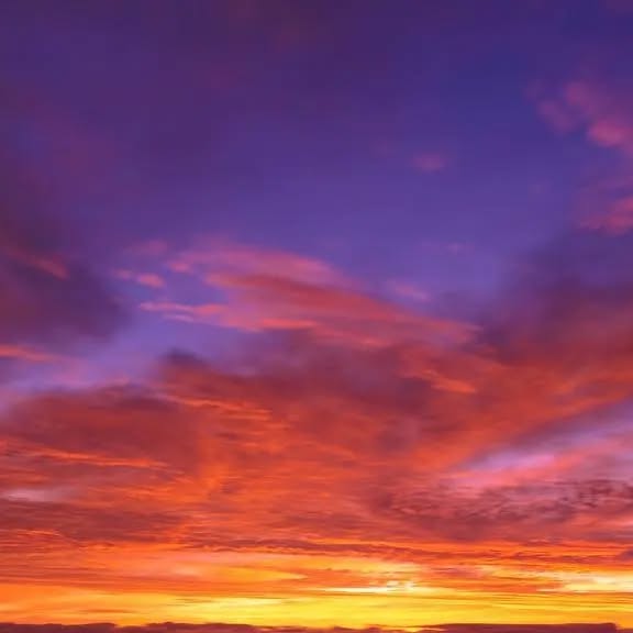 Shellharbour_i's tweet card. Shellharbour NSW Australia (@visitshellharbour) • Instagram photo